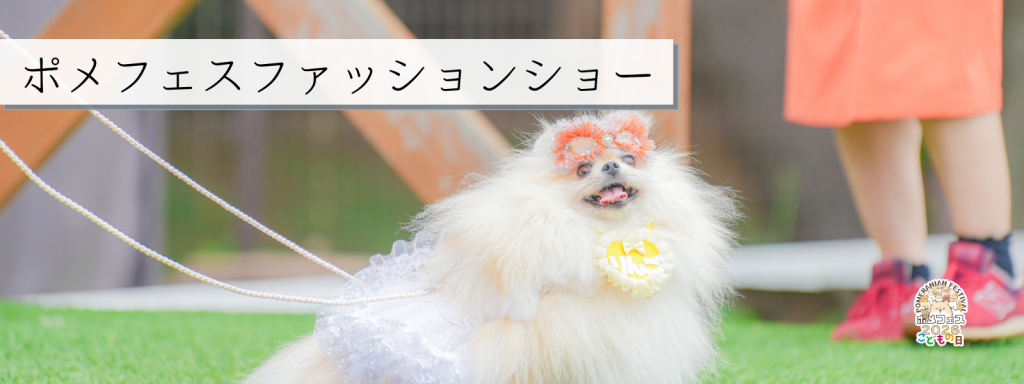 ポメフェスファッションショー