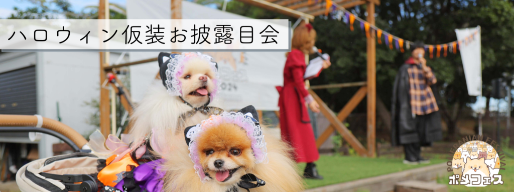 ハロウィン仮装お披露目会