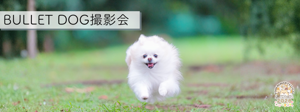 BULLET DOG撮影会@イーノの森
