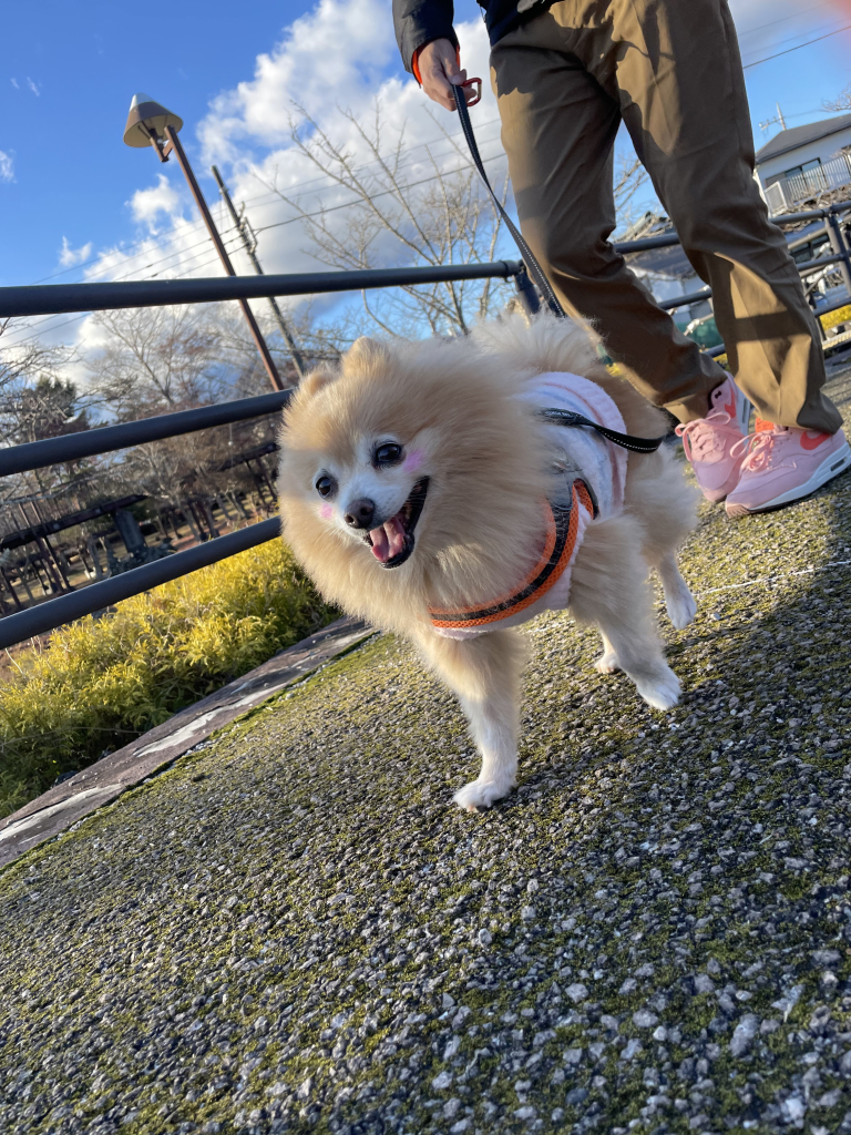 みるきーくん