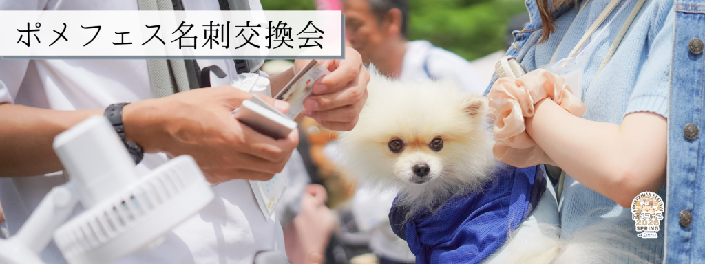ポメフェス名刺交換会@大阪北港マリーナ