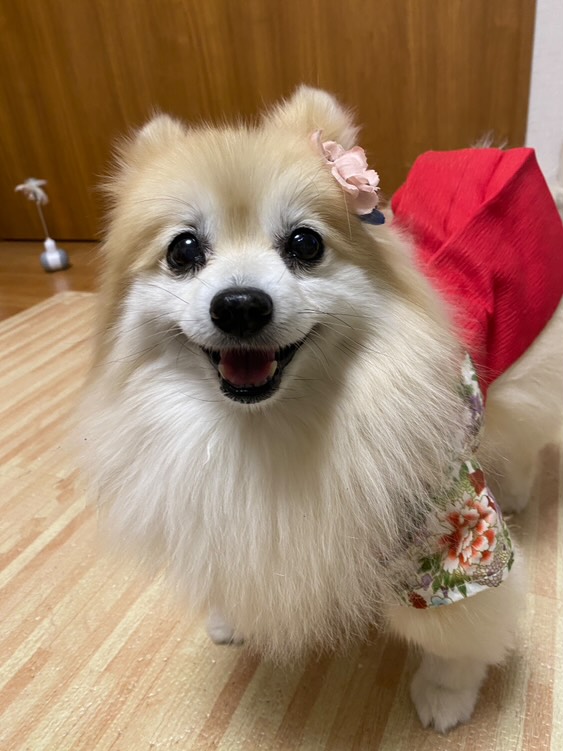 さらちゃん