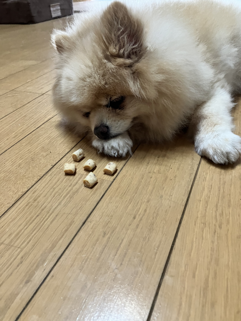 ぽみぽみちゃん