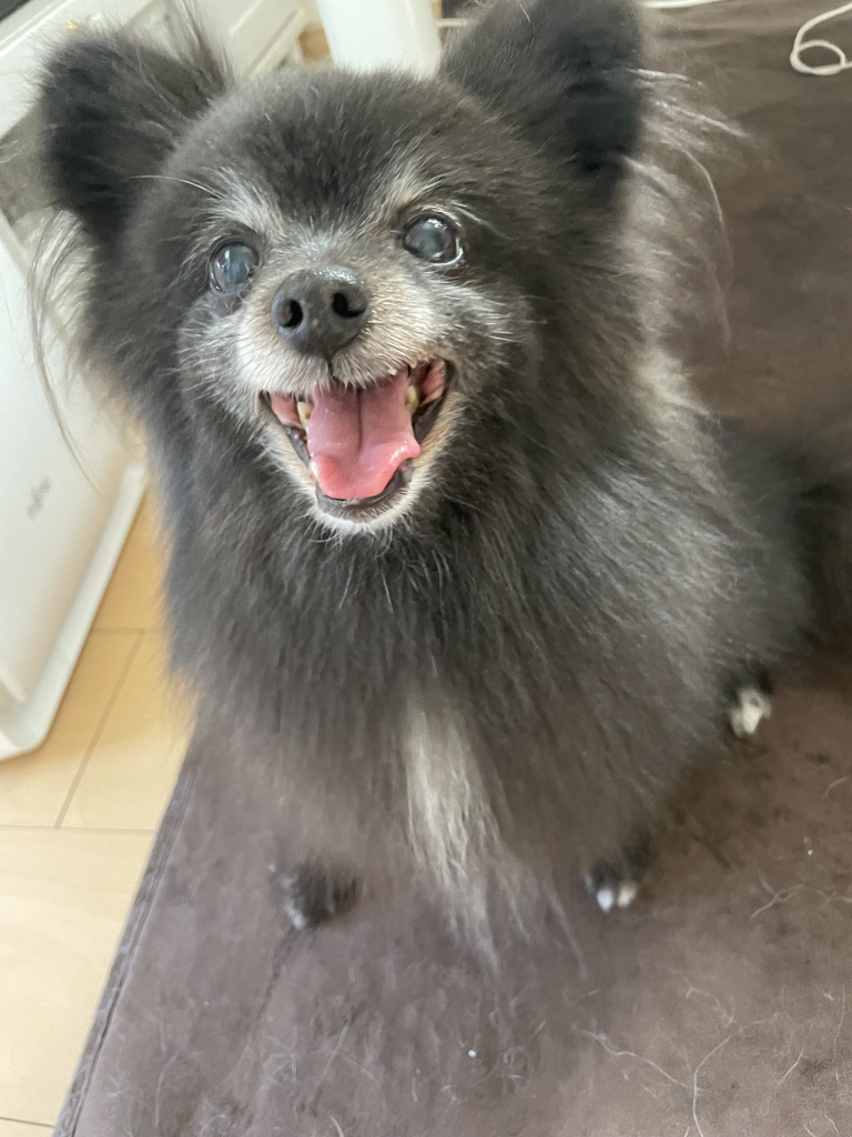 ふぅちゃん