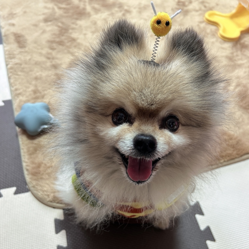 ぽーちん くん