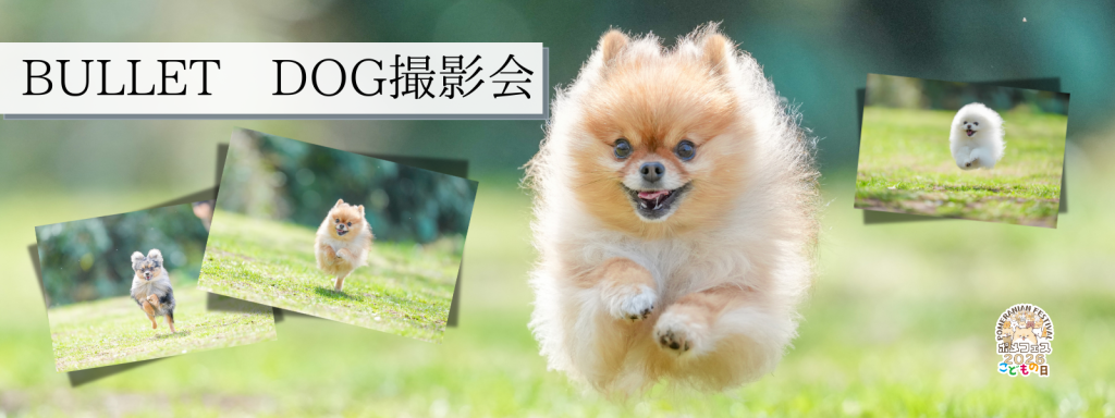 BULLET DOG撮影会@イーノの森_5月