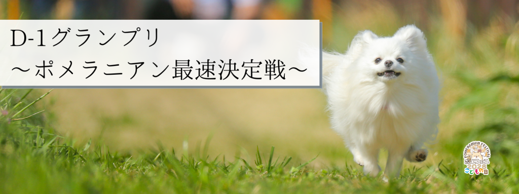 D-1グランプリ – ポメラニアン最速決定戦 – @イーノの森_5月