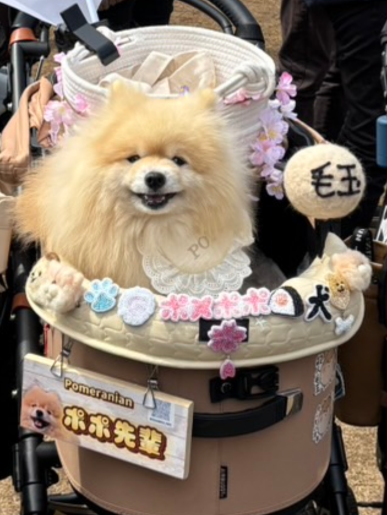 ポポくん