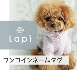 Lapi