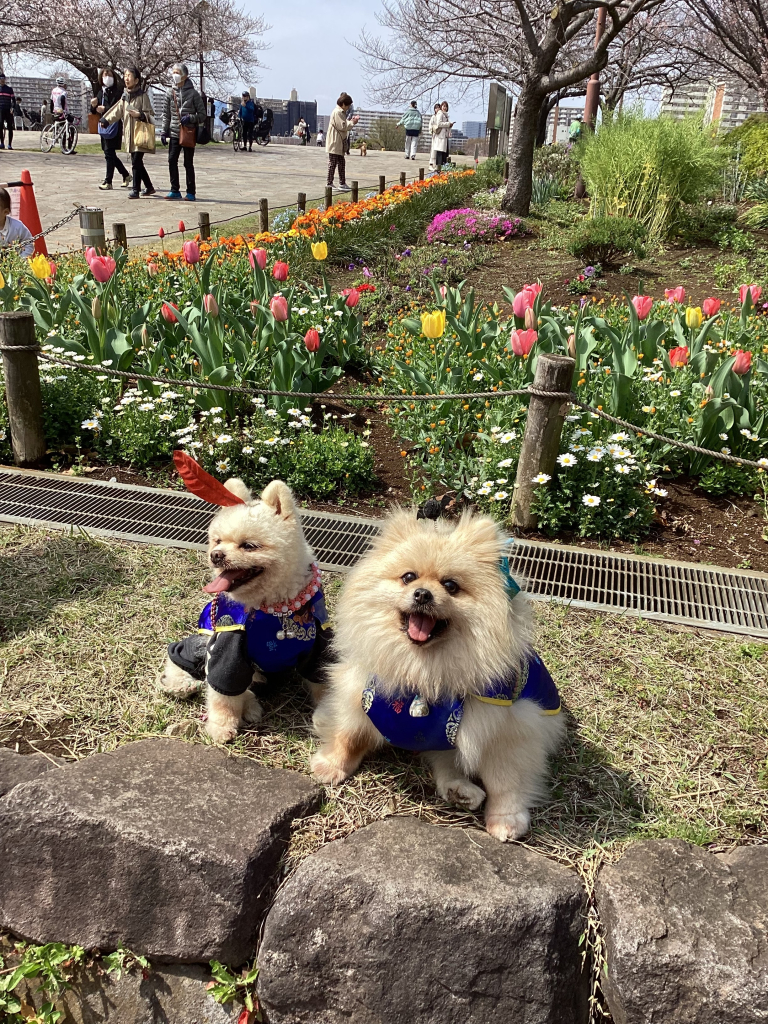 クマくんとキキくん