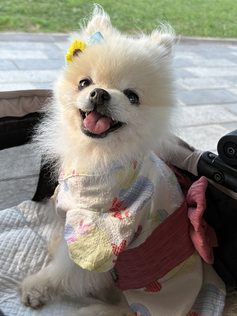 エールくん