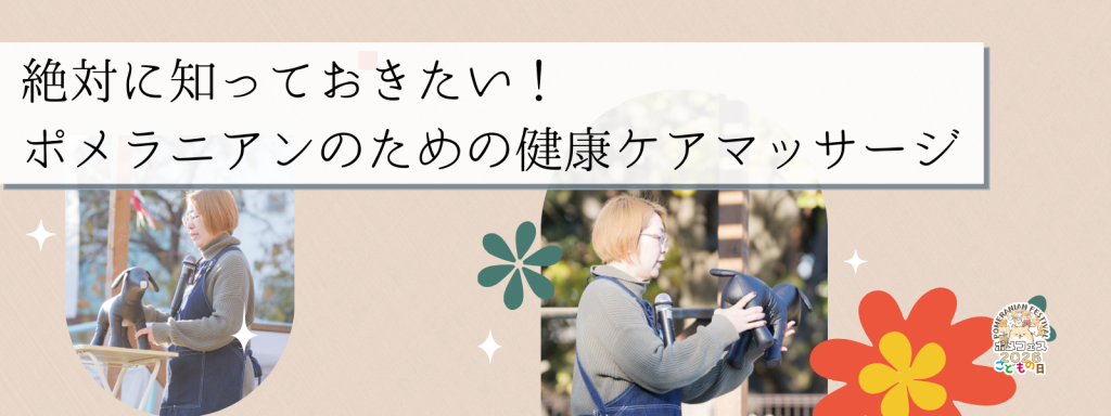 絶対に知っておきたい!ポメラニアンのための健康ケアマッサージ