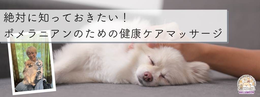 絶対に知っておきたい！ポメラニアンのための健康ケアマッサージ