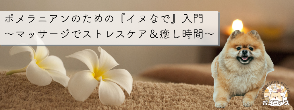 ポメラニアンのための『イヌなで』入門 〜マッサージでストレスケア&癒し時間〜