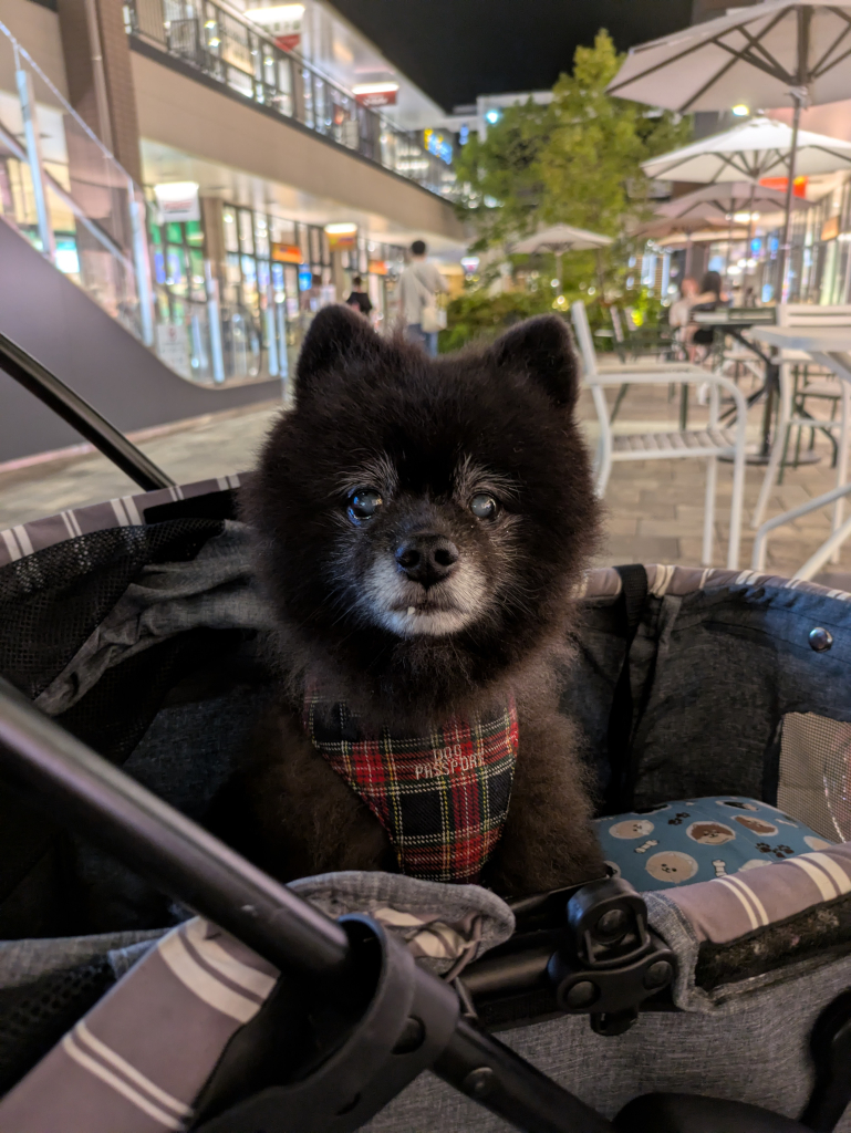空くん