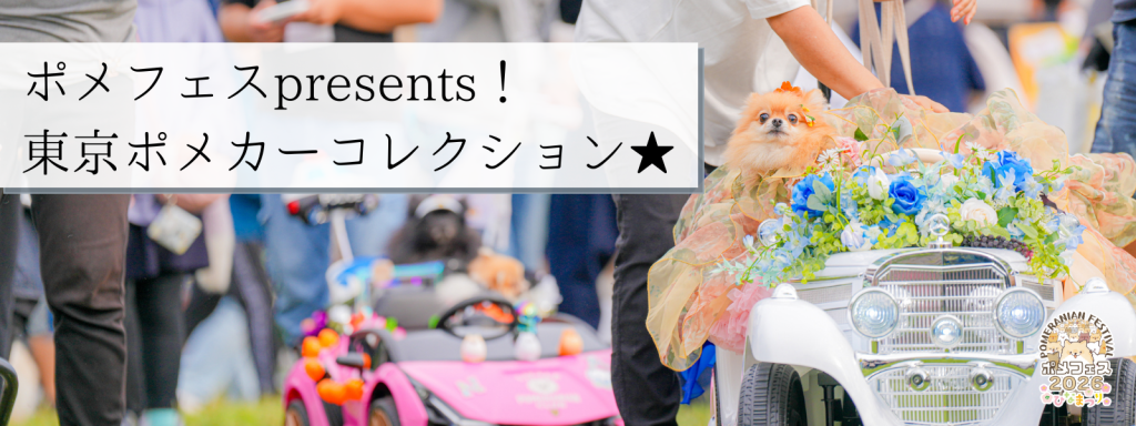 ポメフェスpresents!東京ポメカーコレクション★