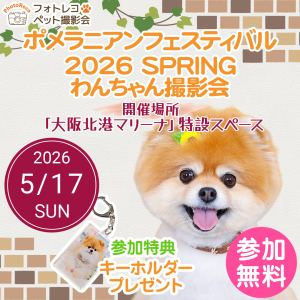 フォトレコペット撮影会@ポメフェス2026SPRING