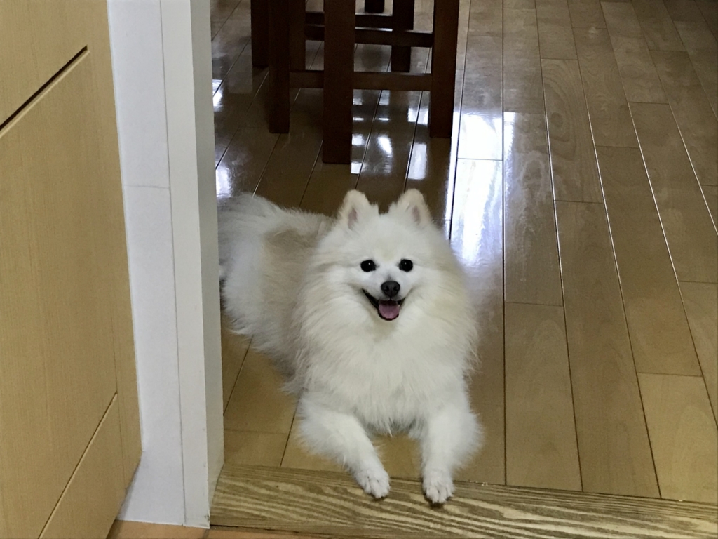 アンちゃん