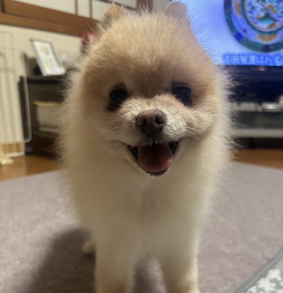 マギくん