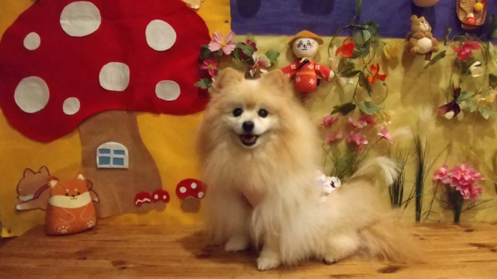 マリーちゃん
